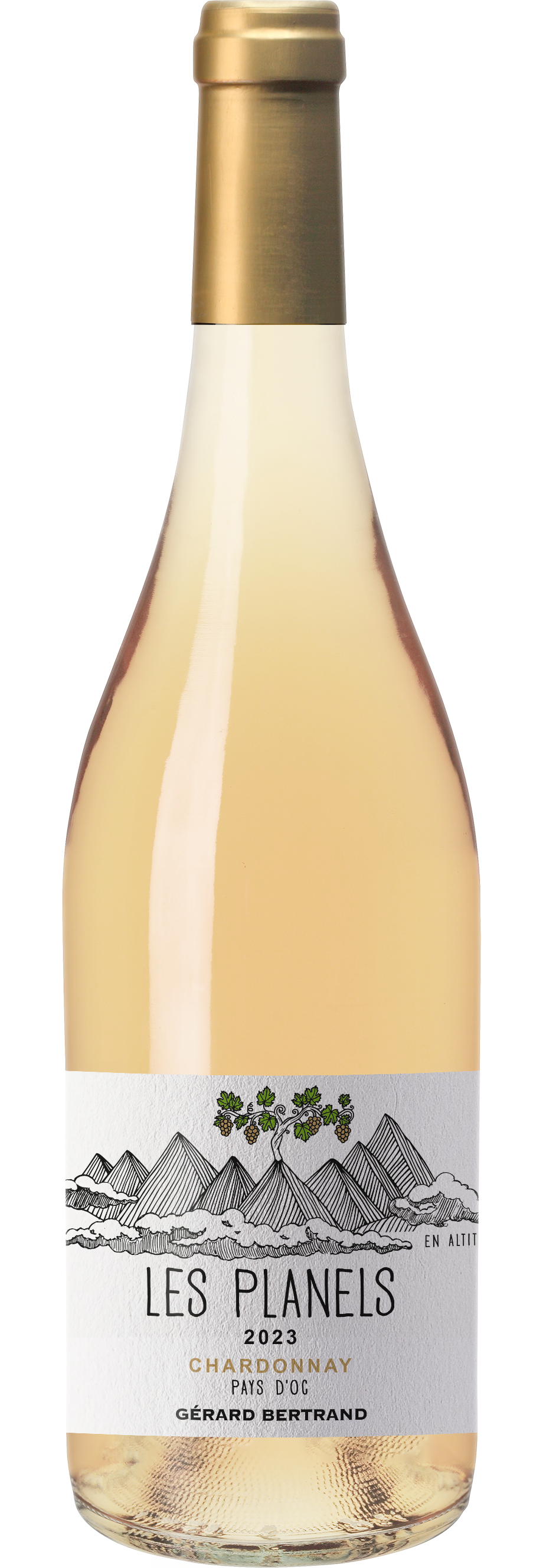 LES PLANELS CHARDONNAY BLANC AB IGP PAYS D OC